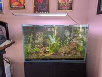 Complete Aquarium Set - Aqua One Aquasys 230