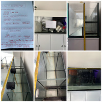 5ft   thick glass   12 mm