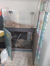 Evolution Aqua Fish tank and sump + more - 250 GBP