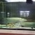 16-18” SWAP FOR OTHER FISH OR SAL arapaima gigas for Sale Rare monster dat sti