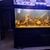 5ft cleair fish tank