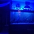 5ft cleair fish tank