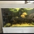 XL FISH TANK, 700ltrs or 900ltrs inc sump