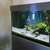 Aquariums 4 Life Aquarium and cabinet stand