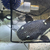 Asian Red Tail Catfish For Sale